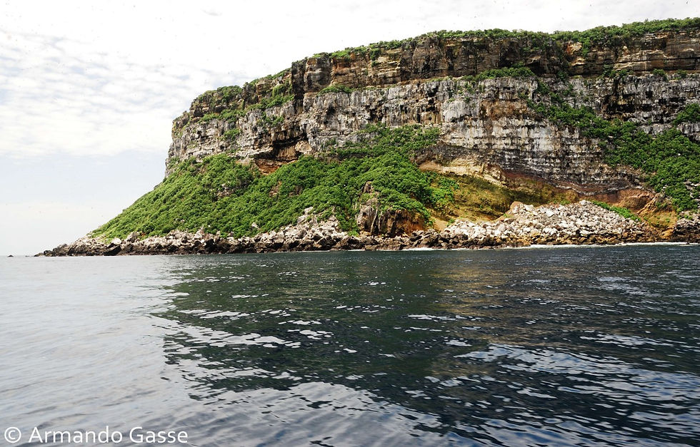 Darwin AGS_5610 .jpg