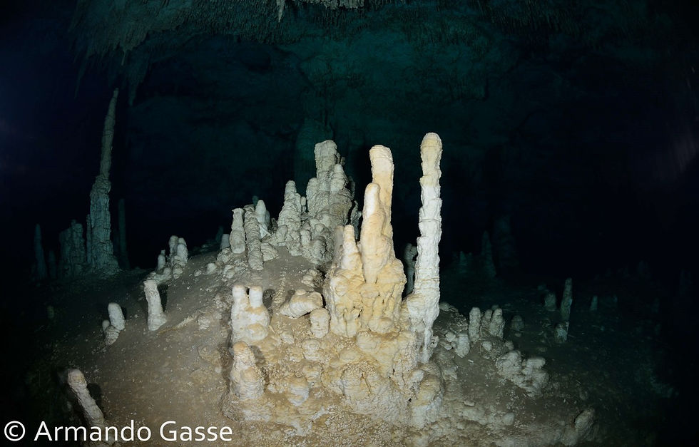 Cenote Huesos perezoso gigante.AGS_6442 JPG