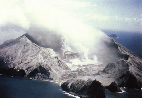 W.S FYFE, N.J PRICE, A.B THOMSON. FLUIDS IN THE EARTH'S CRUST, Their Significance in Metamorphic, Tectonic and Chemical Transport Process. Amsterdam : ELSEVIER SCIENTIFIC PUBLICATION COMPANY Jan Van Galenstraat 335, P.O. Box 221, 1000 AE, Amsterdam, The Netherlands , 1978. ISBN 0-444-41636-6 (Vol. 1) ISBN 0-444-41635-8 (Series).
