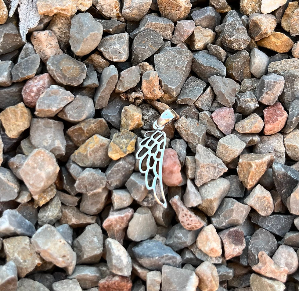 Colgante ala de angel plata