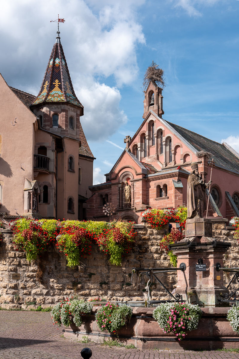 Burg von Eguisheim