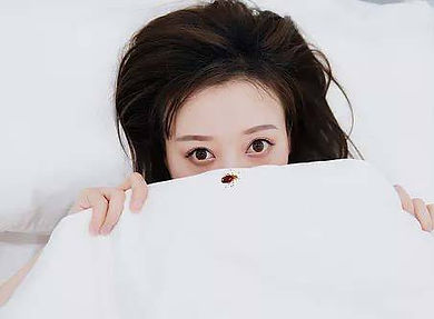 bedbug-on sheets-girl