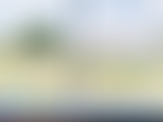 防蚊網:有效解決飛蟲侵擾的最佳解答