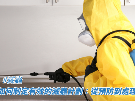 如何制定有效的滅蟲計劃:從預防到處理