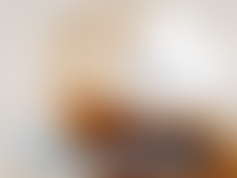 預防地毯受污染的妙招