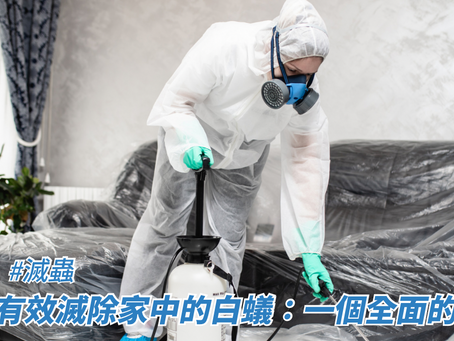 如何有效滅除家中的白蟻：一個全面的指南