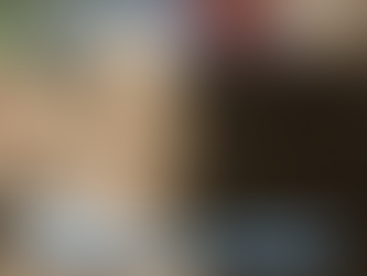 為何每位貓主人都需要貓網