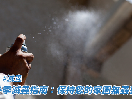 冬季滅蟲指南：保持您的家園無蟲害