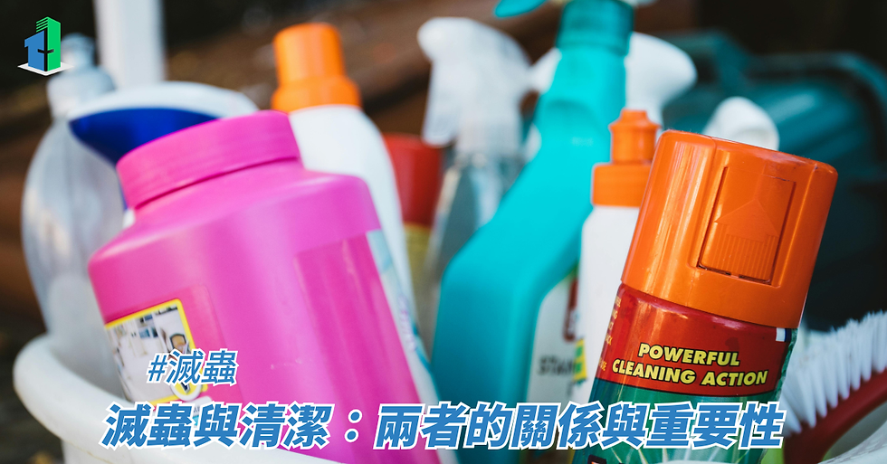 滅蟲與清潔:兩者的關係與重要性