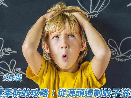 夏季防蚊攻略：從源頭遏制蚊子滋生