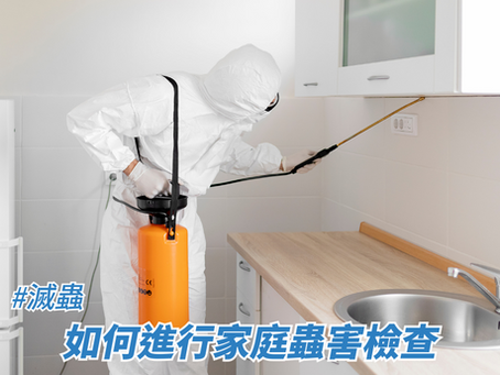 如何進行家庭蟲害檢查