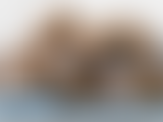 從雜物房到迷你倉：打造高效空間的終極指南