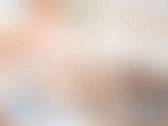 寵物家中防蚤大法:守護毛孩健康