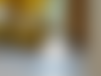 冬季滅蟲專家指南