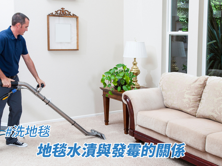 地毯水漬與發霉的關係