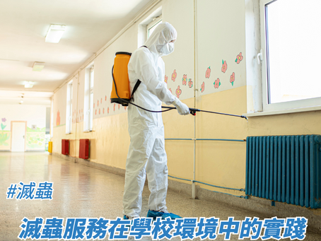 滅蟲後如何維護居室環境衛生