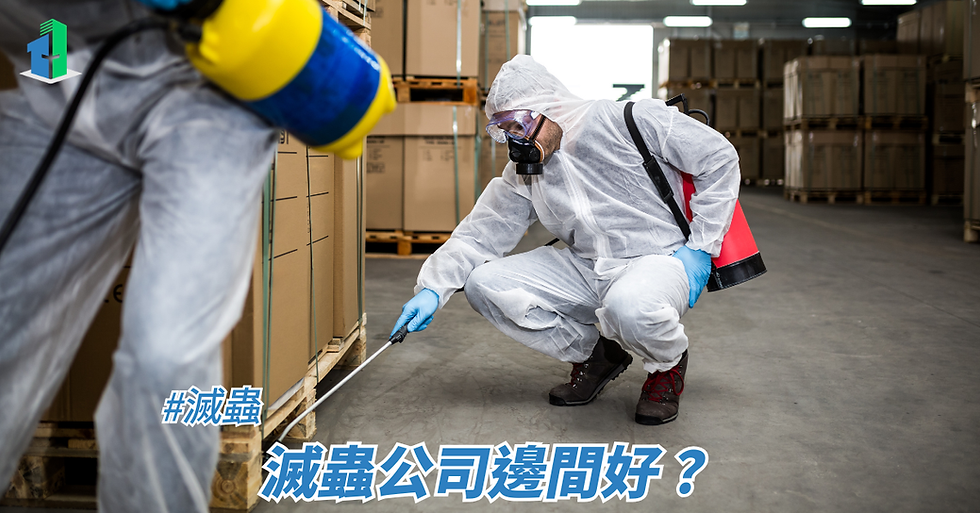 滅蟲公司邊間好?