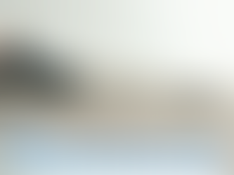 室內害蟲的危害和衛生問題