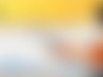 定期滅蟲與家庭安全:避免害蟲帶來的危險