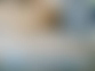 洗地毯公司提供的服務範圍介紹