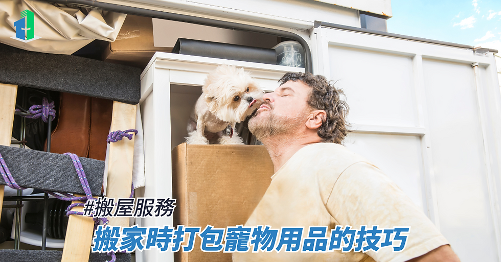 搬家時打包寵物用品的技巧