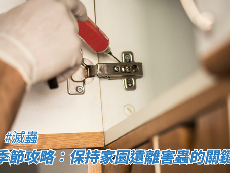 滅蟲季節攻略:保持家園遠離害蟲的關鍵時期