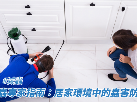 滅蟲專家指南:居家環境中的蟲害防治