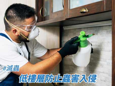 低樓層防止蟲害入侵