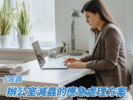 辦公室滅蟲的應急處理方案