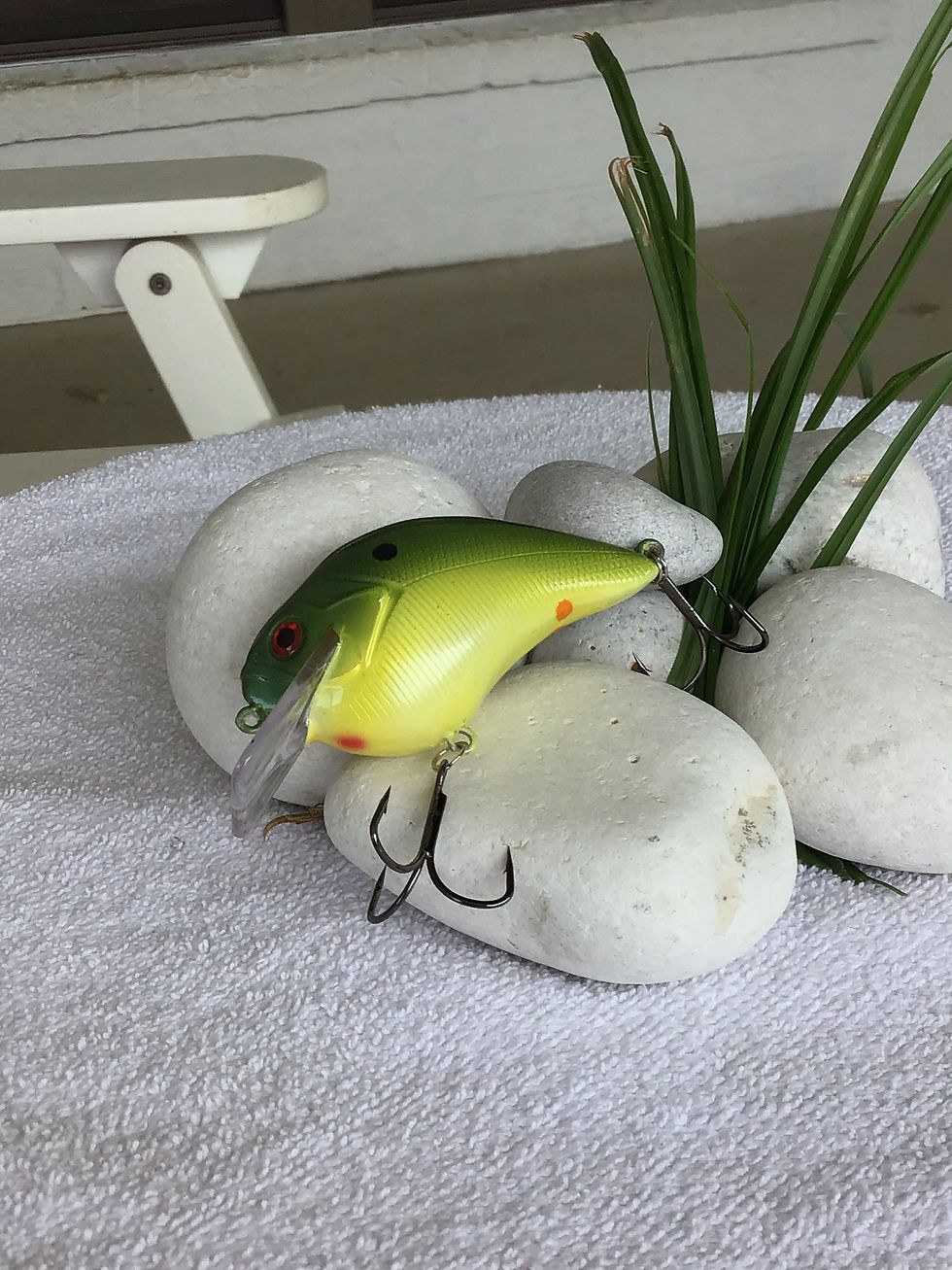 Thumbnail: 2.5 Square Bill Missouri Froggie