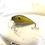Thumbnail: 1.5 Square Bill Moss Back Gold Pumpkin Shad