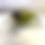 Thumbnail: Surface Bug Crappie