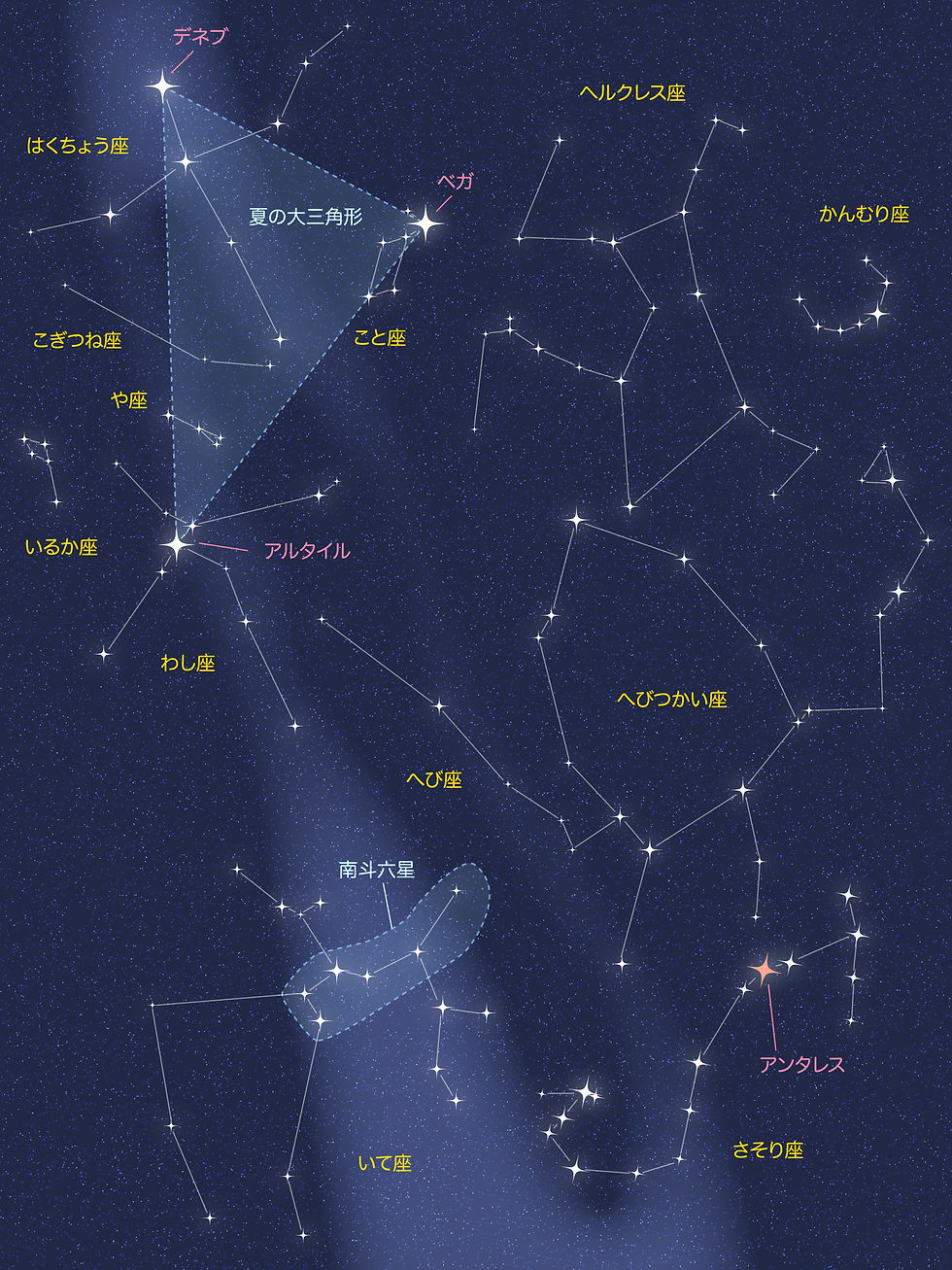 天体観測