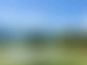 水素の力でおいしいお米をつくる