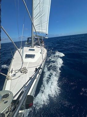 IMG_7651.jpeg