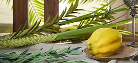 sukkot-768x353.jpeg