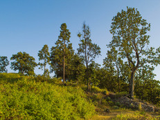 lahermitage resort (4).jpg