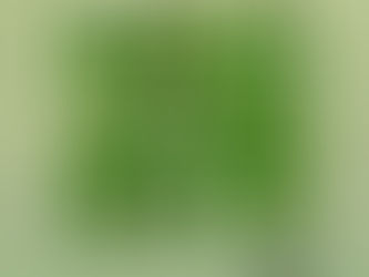 A terra precisa ser protegida, e juntos podemos fazê-lo.