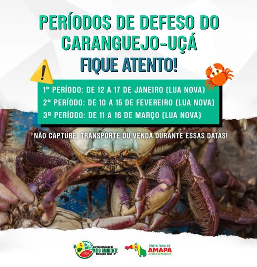 Importante Aviso Ambiental para os Moradores de Amapá