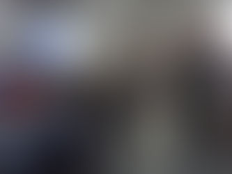 Programa Mais Pecuária Brasil Amapá/AP