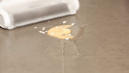 egg.gif