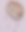 Akoya Pearls.webp