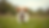 Eye-level view of a playful puppy in a grassy field