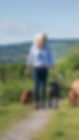 Kate Brown Ludlow Cleestangate Gundogs