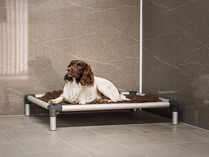 Residential Dog Kennels Shropshire.jpg