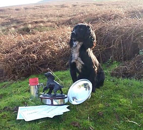 Field Trial Winner Gala Girl Cocker Spaniel