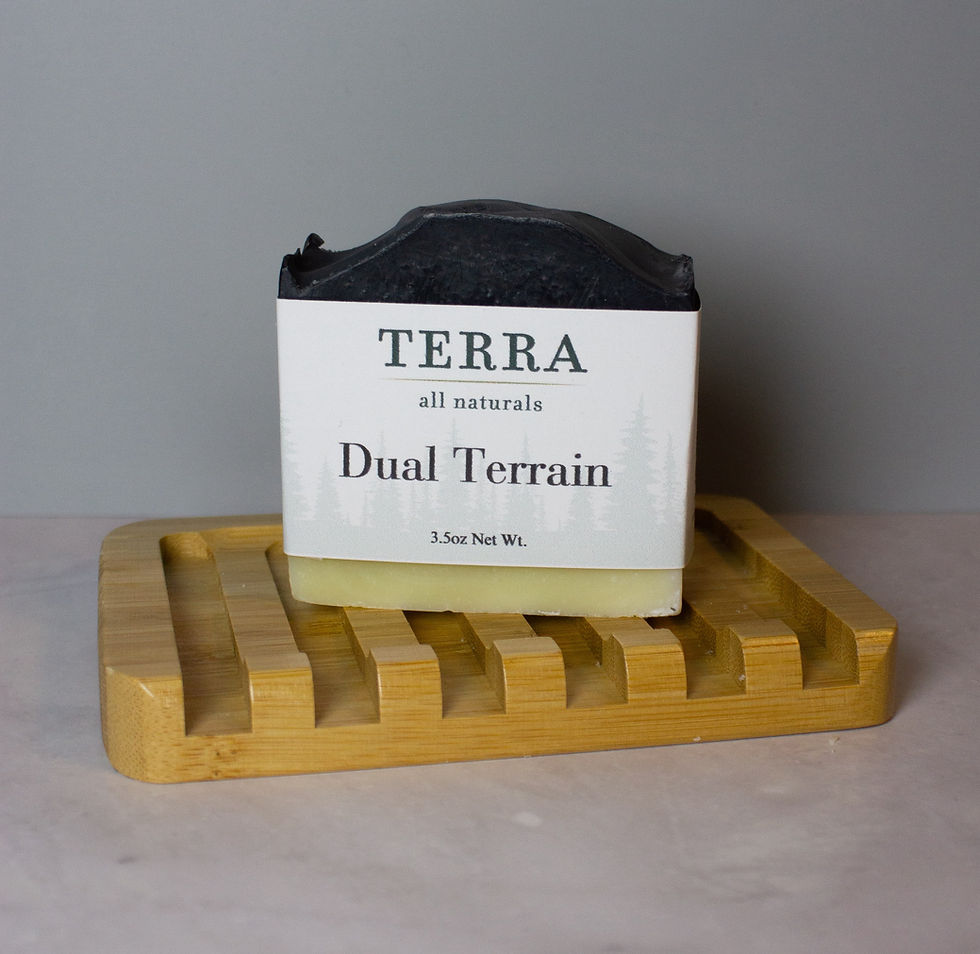 Thumbnail: Dual Terrain