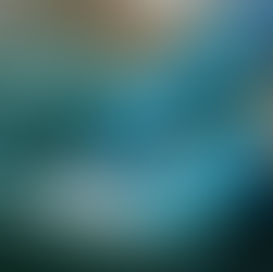 Top Benefits of Professional Bin Cleaning Services