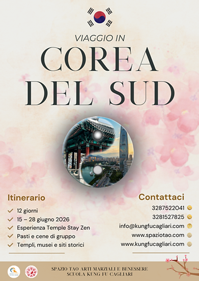 Copy of Copy of viaggio sud corea.png