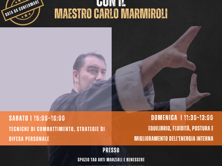Seminario di approfondimento sul movimento marziale nel Kung Fu e nel Tai Chi Chuan: forza, consapevolezza e pratica tradizionale